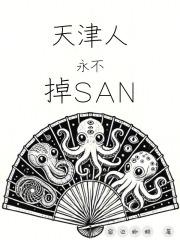 �����������SAN