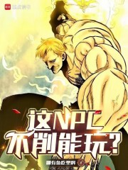 ��NPC�������棿